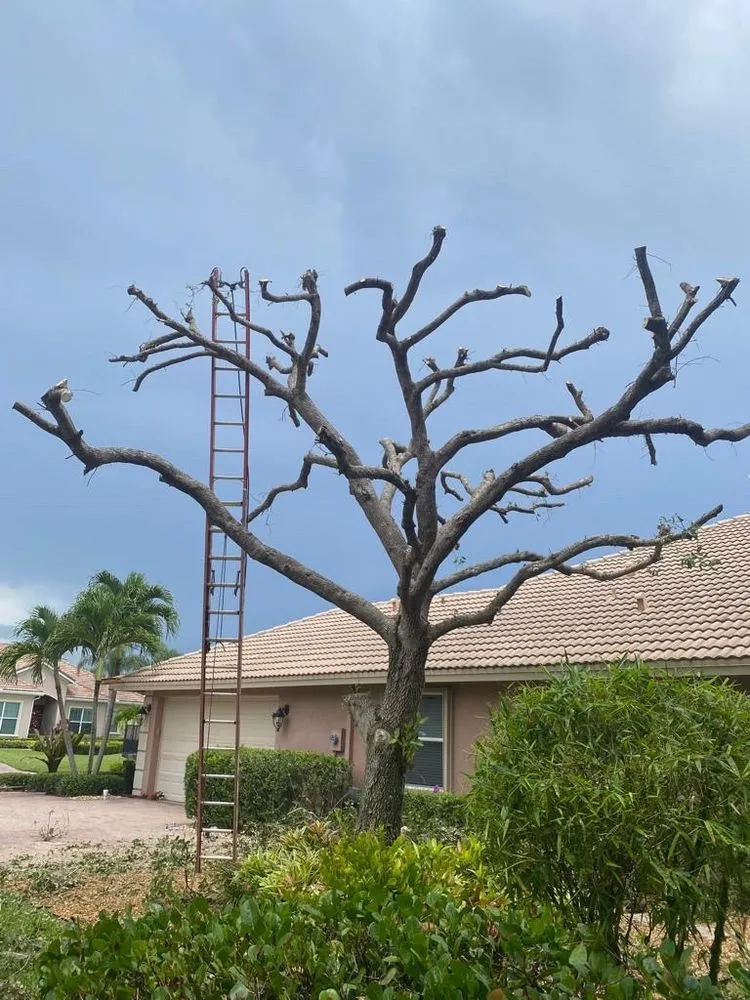 Trusted residential landscaping experts serving El Cajon, CA - Global Landscape