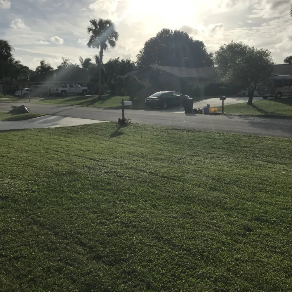 Affordable lawn mowing service for residential properties across Palm Beach Gardens, FL - Global Landscaping