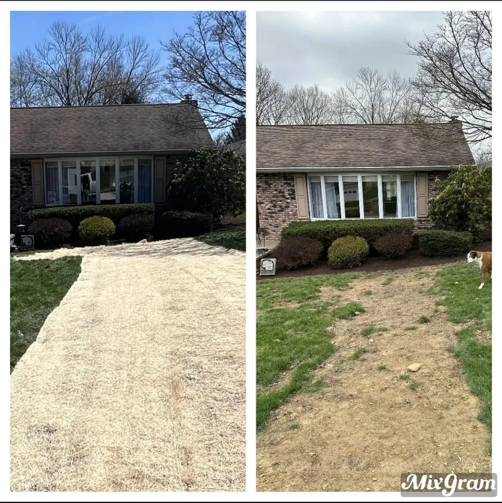 Reliable landscaping services in Wellsburg, WV by Global services landscape and handyman