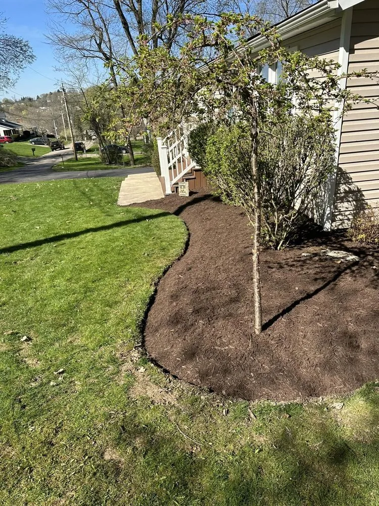 Affordable landscaping services near you across Wellsburg, WV - Global services landscape and handyman