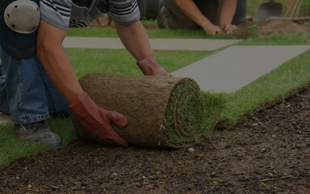 Top-rated lawn care service near you in Yorktown, IN by Global Tech Hydroseeding Erosion Control