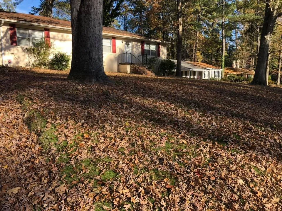 Custom lawn care service in Fosters, AL - Globetti's Lawn Care