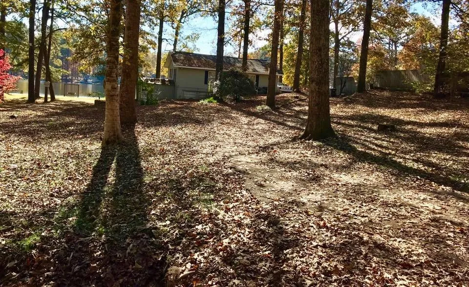 Trusted yard cleanup service experts serving Fosters, AL - Globetti's Lawn Care