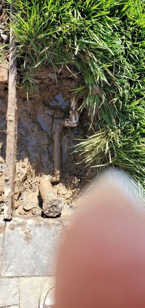 Top-rated outdoor landscaping in Penryn, CA - Gloria Landscaping