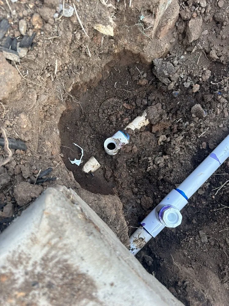 Affordable lawn mowing service experts serving Penryn, CA - Gloria Landscaping