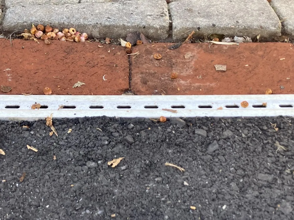 Professional yard maintenance in Penryn, CA - Gloria Landscaping