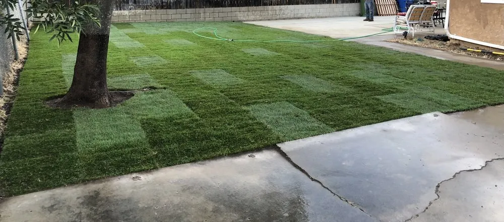 Trusted garden landscaping for outdoor upgrades in El Cajon, CA by Glorias Landscaping