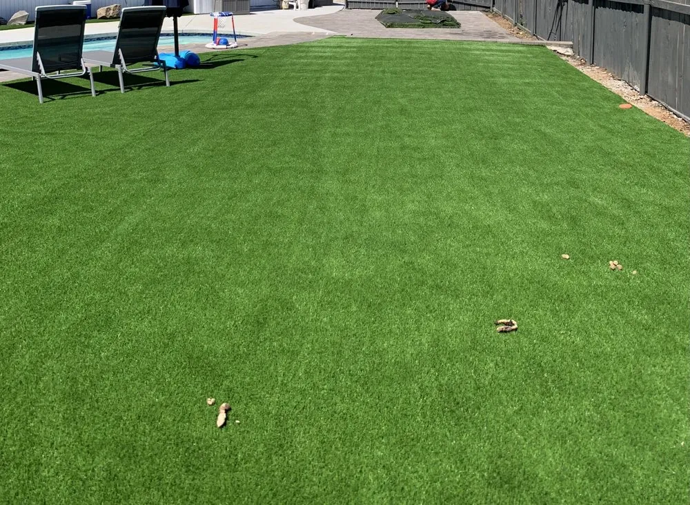 Expert yard cleanup service experts serving El Cajon, CA - Glorias Landscaping