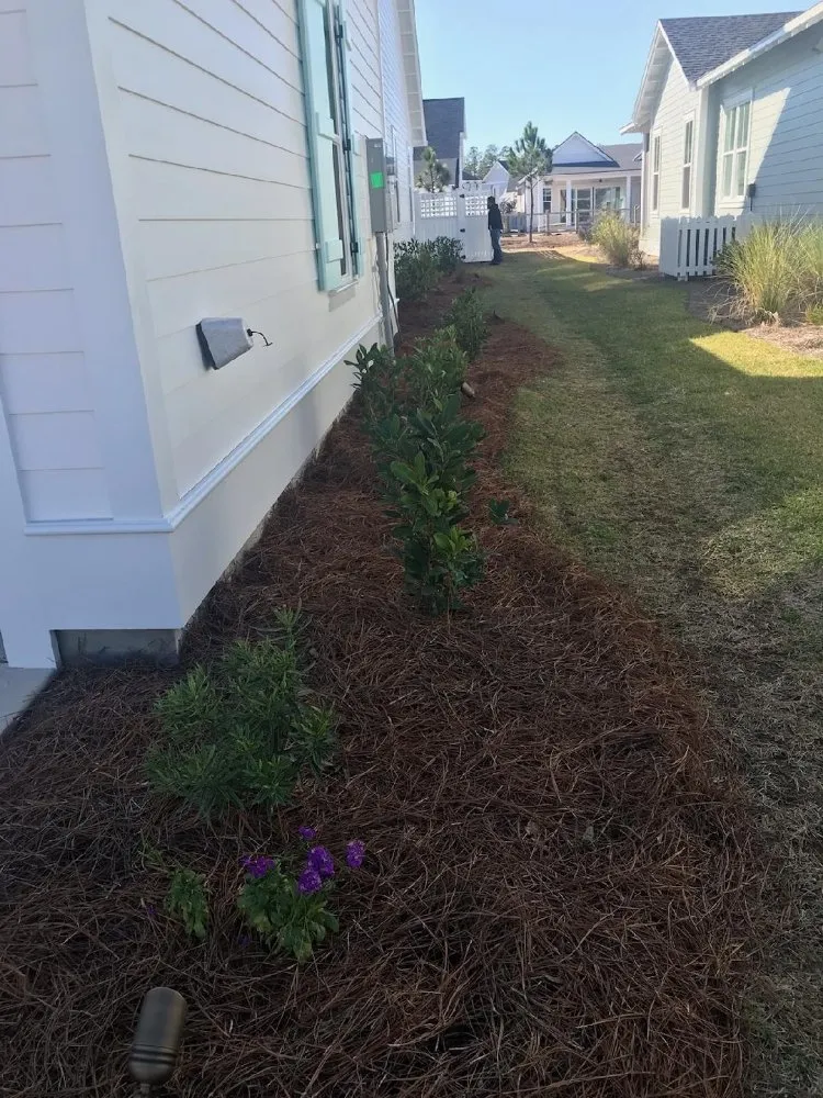 Professional residential landscaping in GRANDE POINTE, FL by Glorified Gardening