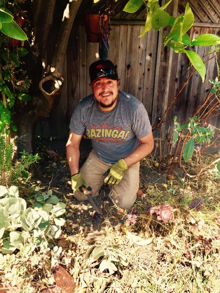 Affordable landscape installation experts serving Richmond, CA - Glorious Gardening Services