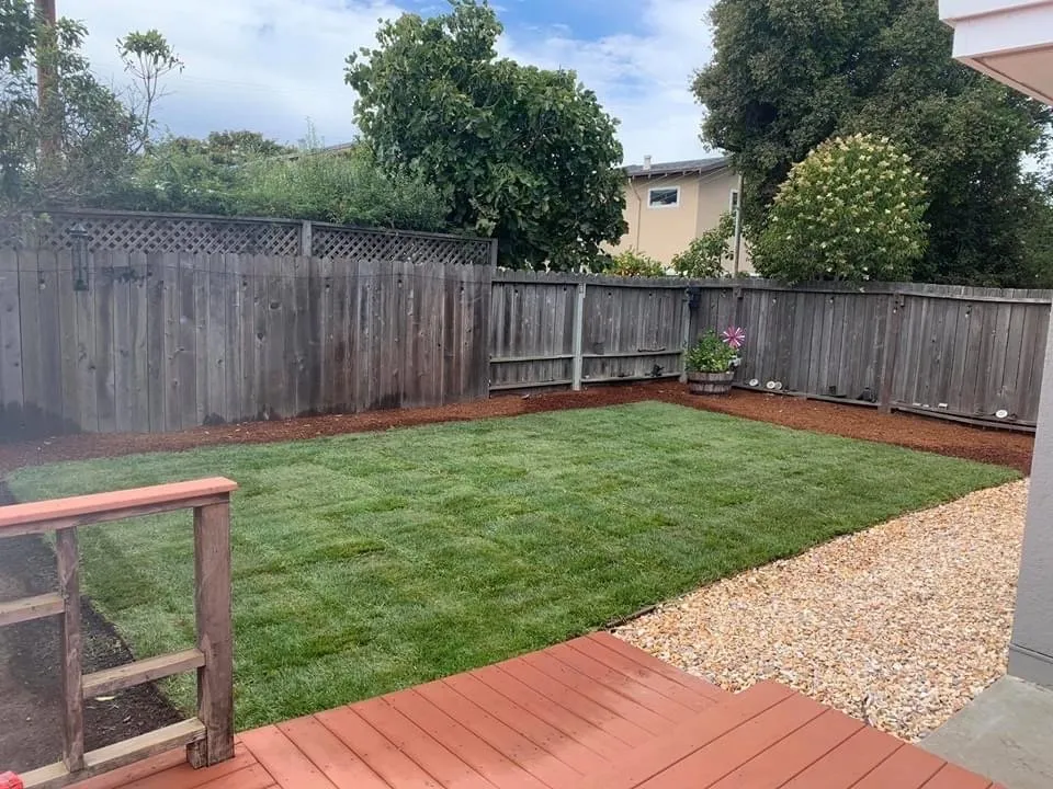 Local yard cleanup service in Richmond, CA - Glorious Gardening Services