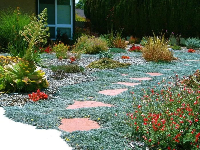 Reliable outdoor landscaping in Oceanside, CA by Glorious Gardens
