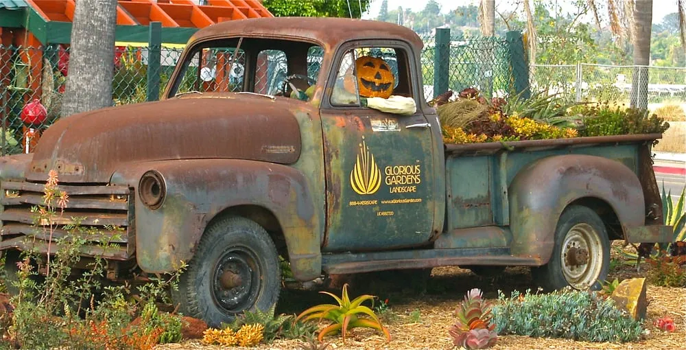 Custom residential landscaping in Oceanside, CA by Glorious Gardens