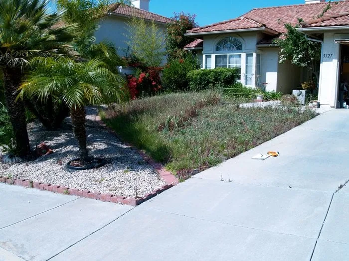 Top-rated garden landscaping in Oceanside, CA by Glorious Gardens