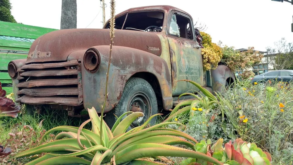 Top-rated outdoor landscaping experts serving Oceanside, CA - Glorious Gardens