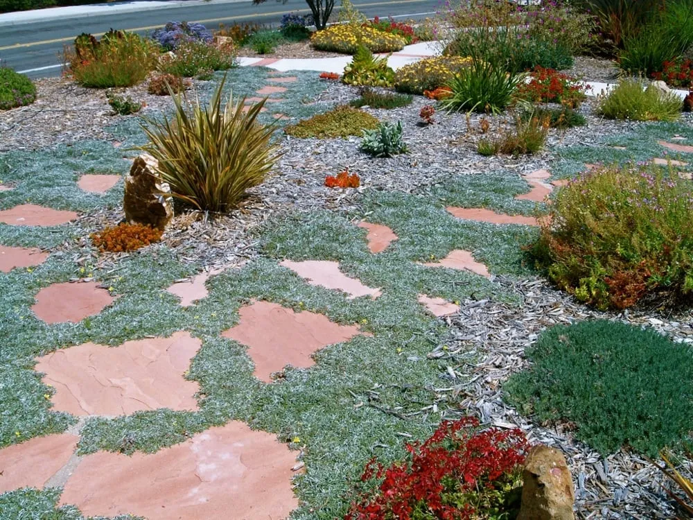 Custom outdoor landscaping experts serving Oceanside, CA - Glorious Gardens