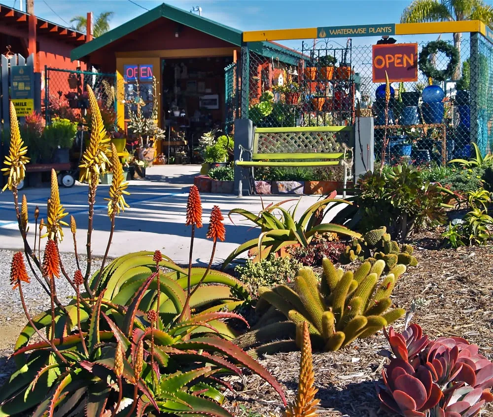 Custom lawn care service in Oceanside, CA - Glorious Gardens