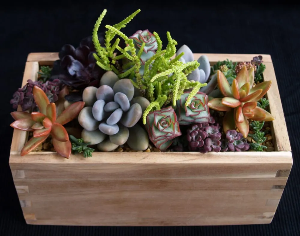 Trusted yard cleanup service for residential properties across Oceanside, CA - Glorious Gardens