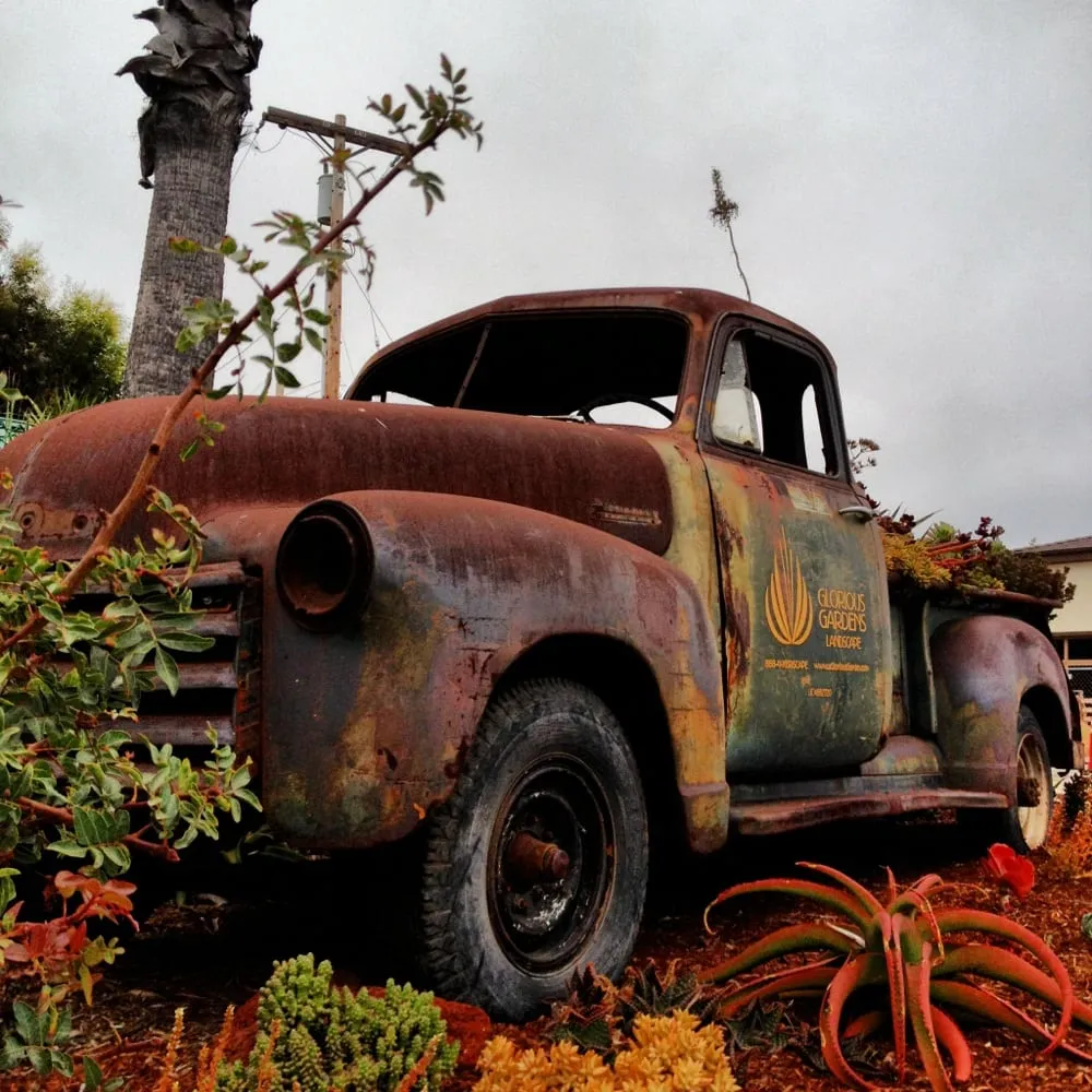 Local lawn care service for residential properties across Oceanside, CA - Glorious Gardens