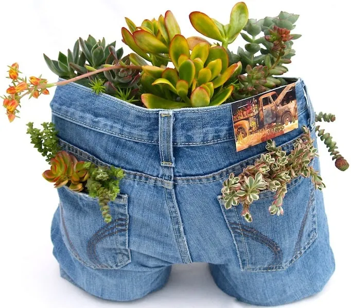 Local lawn mowing service in Oceanside, CA by Glorious Gardens