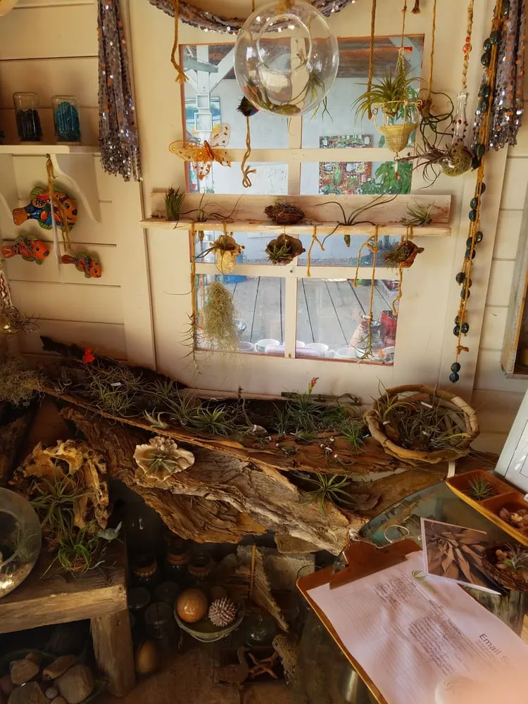 Custom residential landscaping in Oceanside, CA - Glorious Gardens