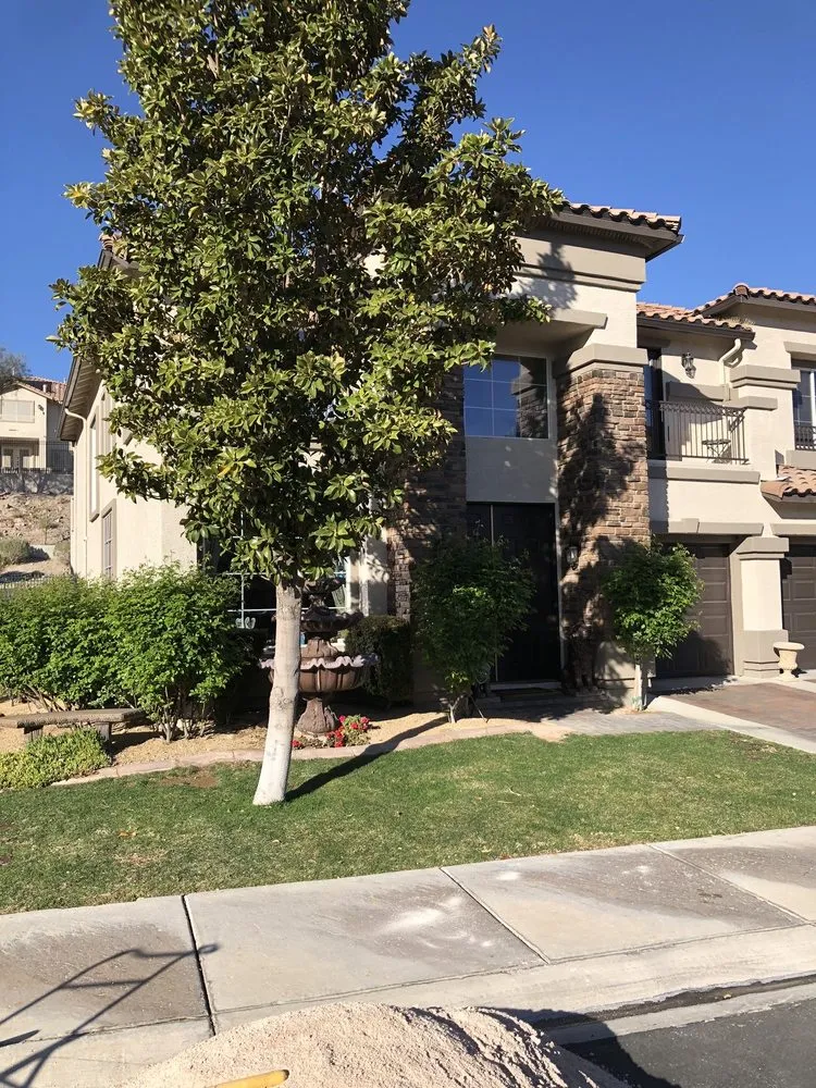 Top-rated yard maintenance near you in Henderson, NV by Glorious Landscaping