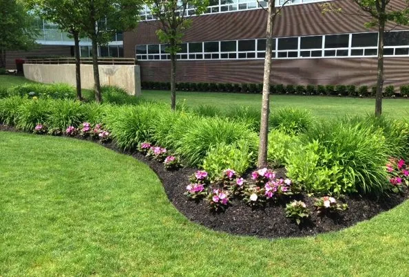 Local yard cleanup service in Novi, MI - Glorious Landscaping