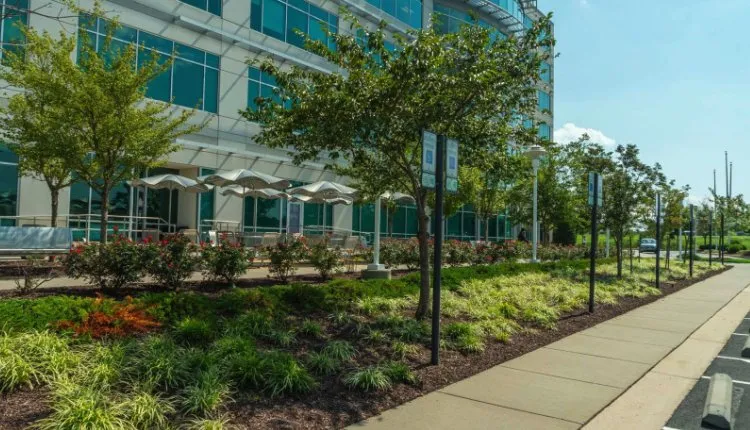 Top-rated garden landscaping in Novi, MI - Glorious Landscaping