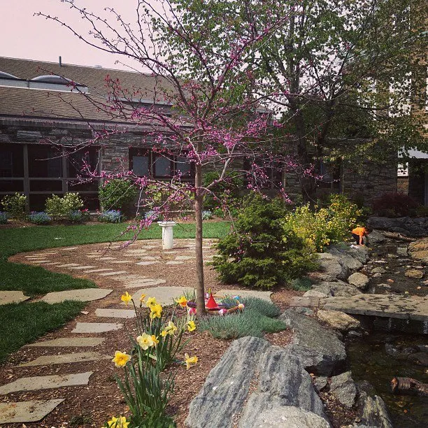 Trusted lawn care service with custom design across Novi, MI - Glorious Landscaping