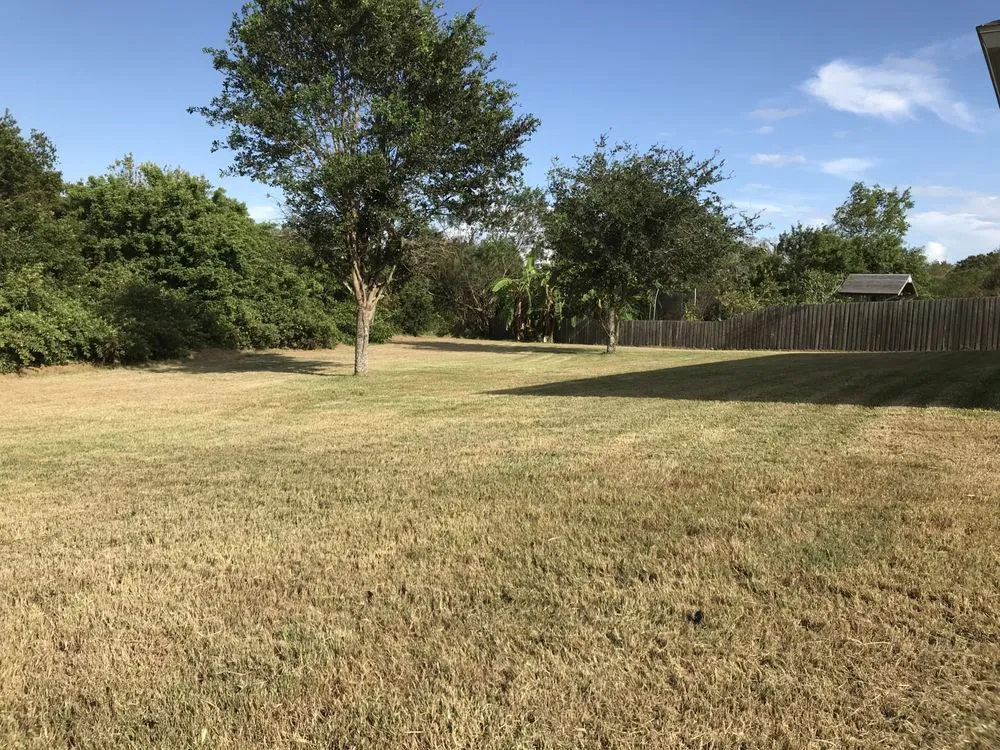 Local outdoor landscaping for residential properties in Sun City Center, FL by Glorious Lawn Care