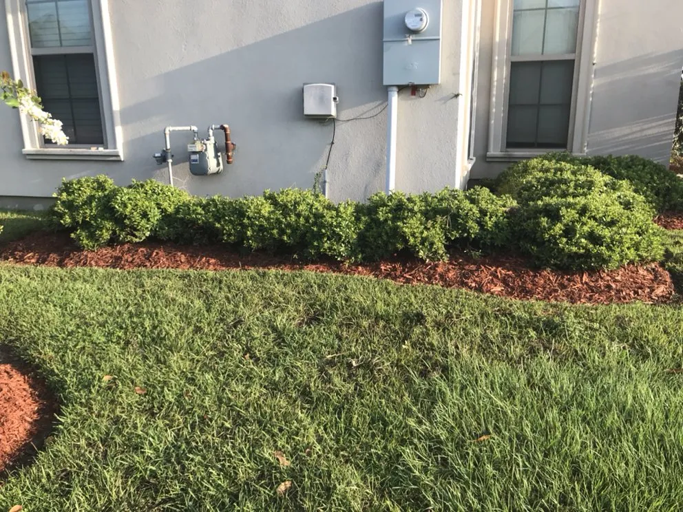 Reliable yard cleanup service for outdoor upgrades across Baton Rouge, LA - Glorious perfections services