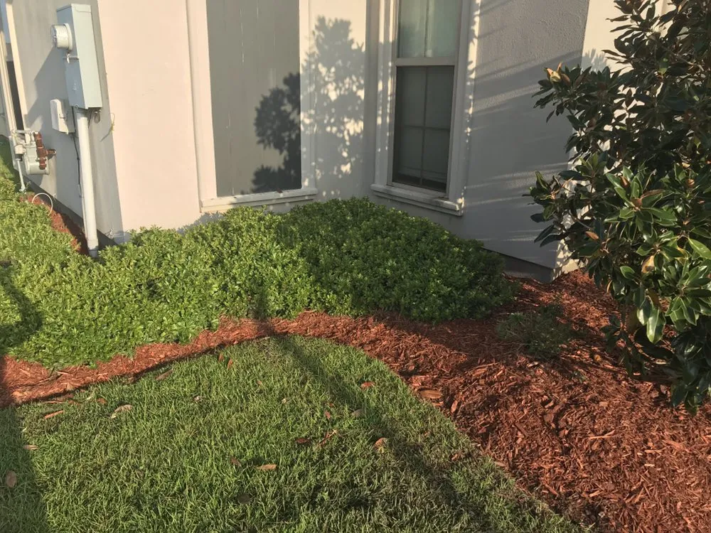 Local yard cleanup service in Baton Rouge, LA - Glorious perfections services
