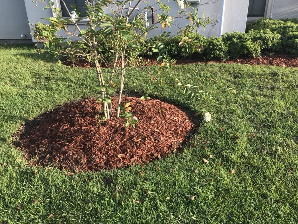 Reliable landscape installation near you in Baton Rouge, LA by Glorious perfections services