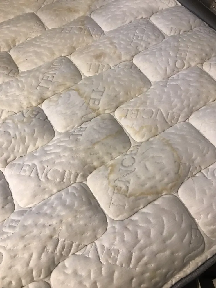 Reliable landscaping services experts serving Baton Rouge, LA - Glorious perfections services