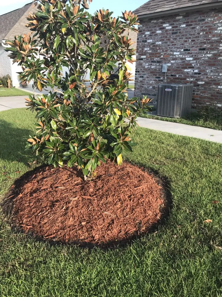 Local residential landscaping near you in Baton Rouge, LA by Glorious perfections services