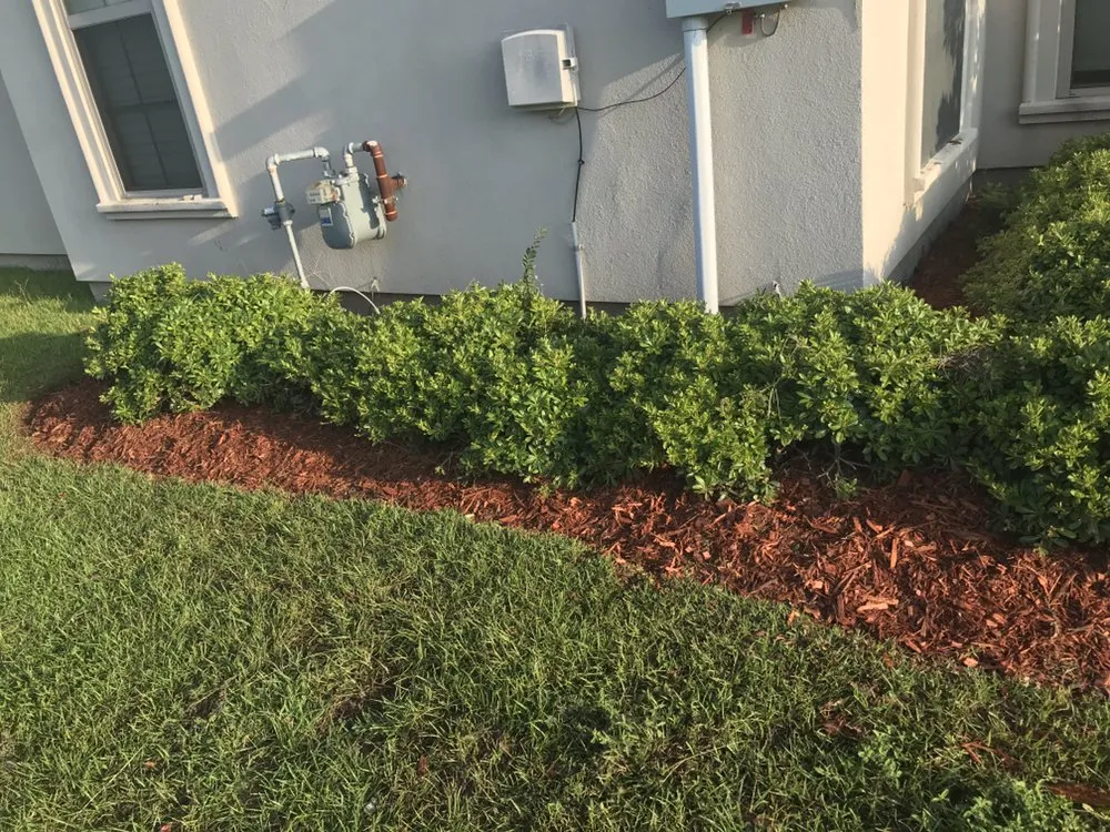 Top-rated garden landscaping for outdoor upgrades in Baton Rouge, LA by Glorious perfections services