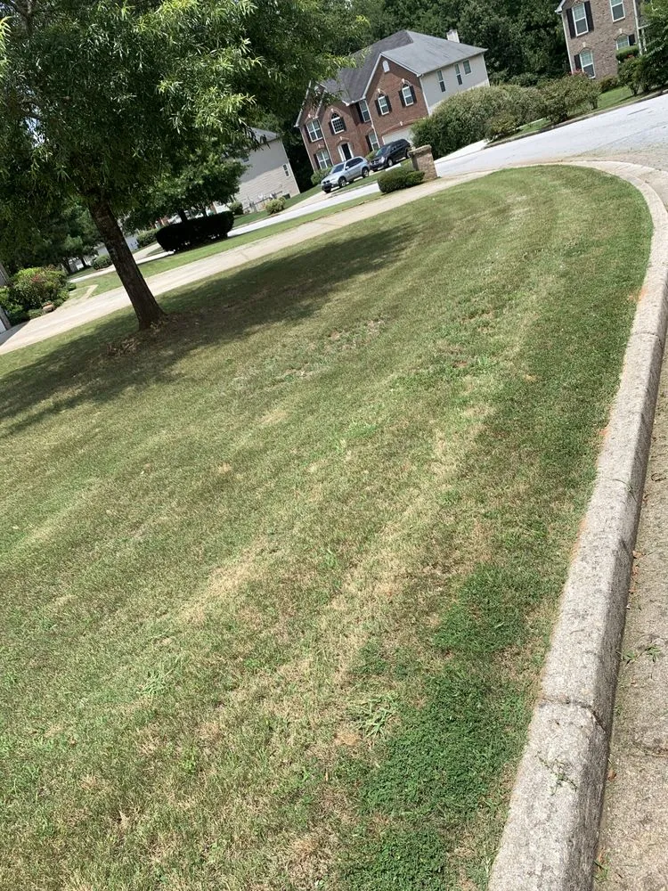 Local outdoor landscaping for year-round maintenance in Griffin, GA by Glory Concrete Services