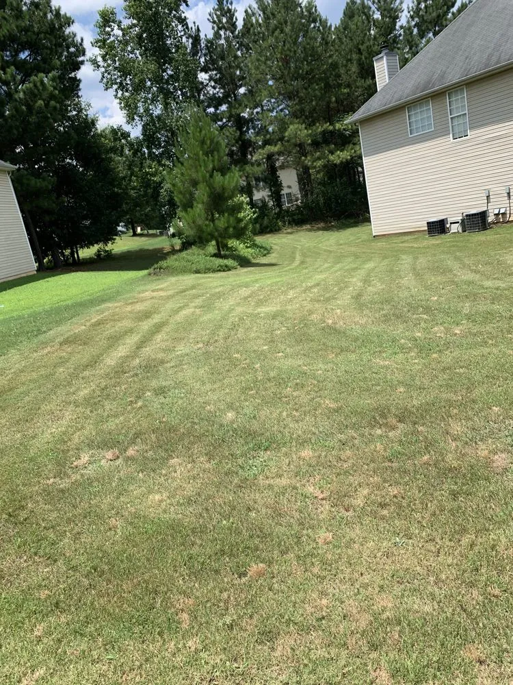 Reliable yard cleanup service in Griffin, GA by Glory Concrete Services