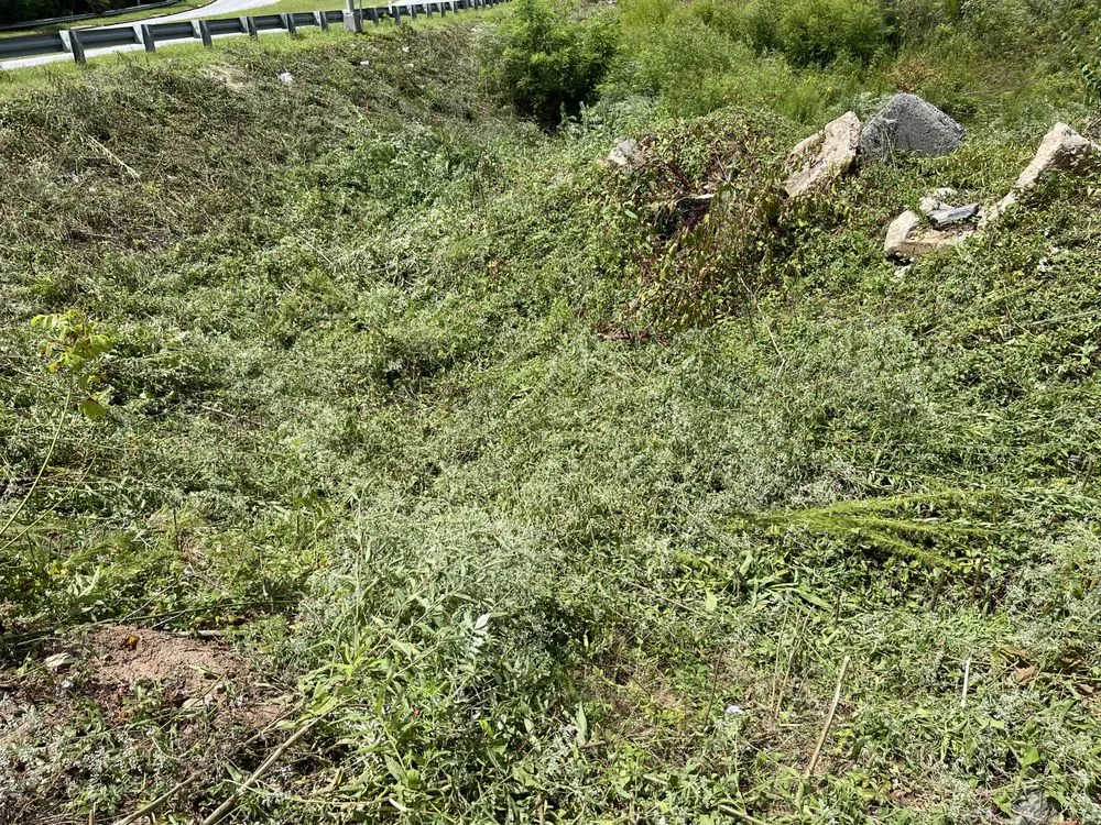 Custom yard cleanup service in Griffin, GA - Glory Concrete Services