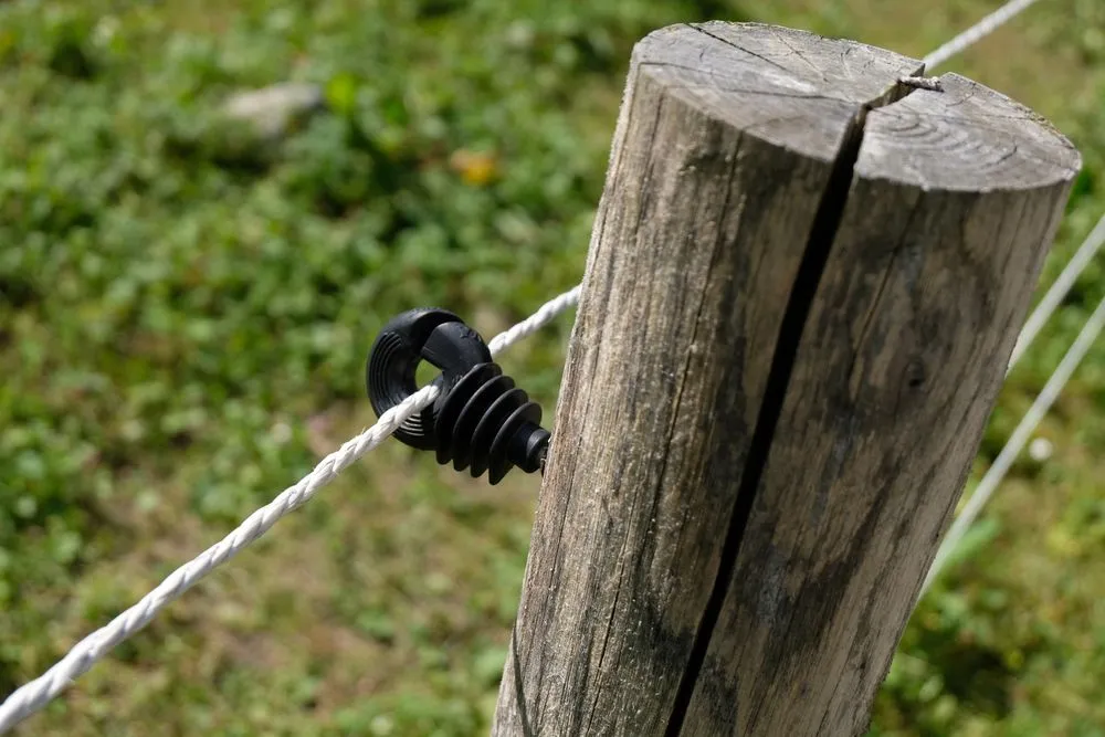 Trusted landscape installation experts serving Biloxi, MS - Glory Contracting