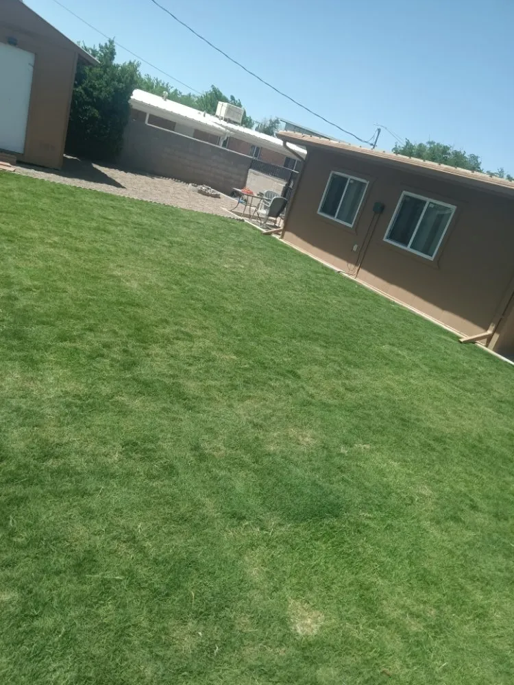 Professional yard cleanup service in Deming, NM - Glory Glory lawn care