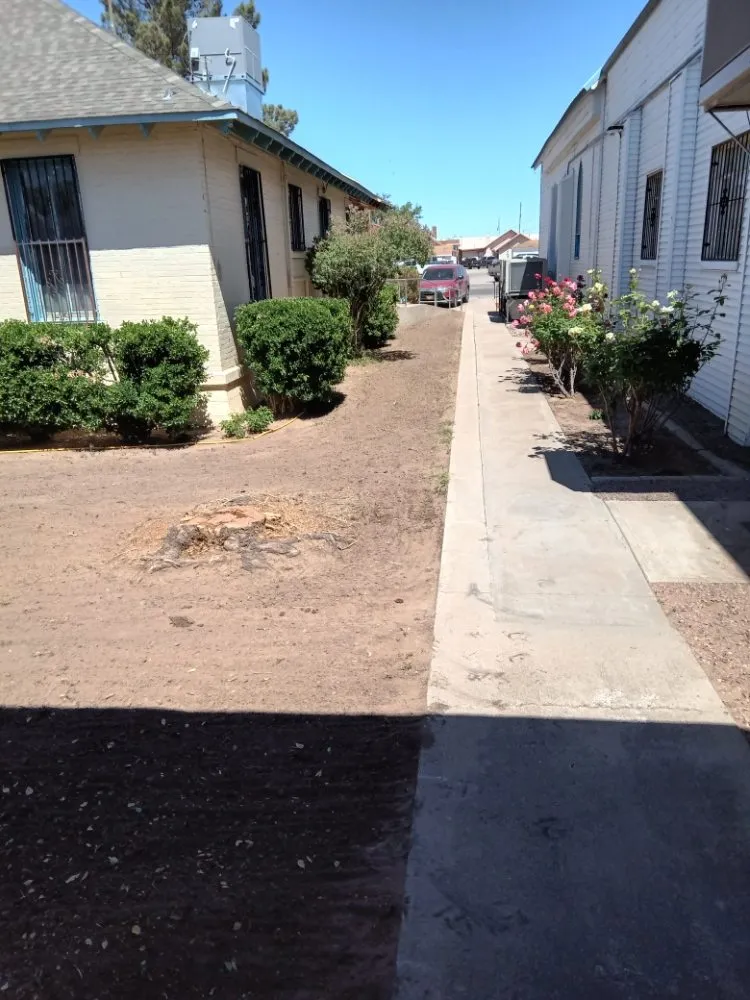 Top-rated yard maintenance near you across Deming, NM - Glory Glory lawn care