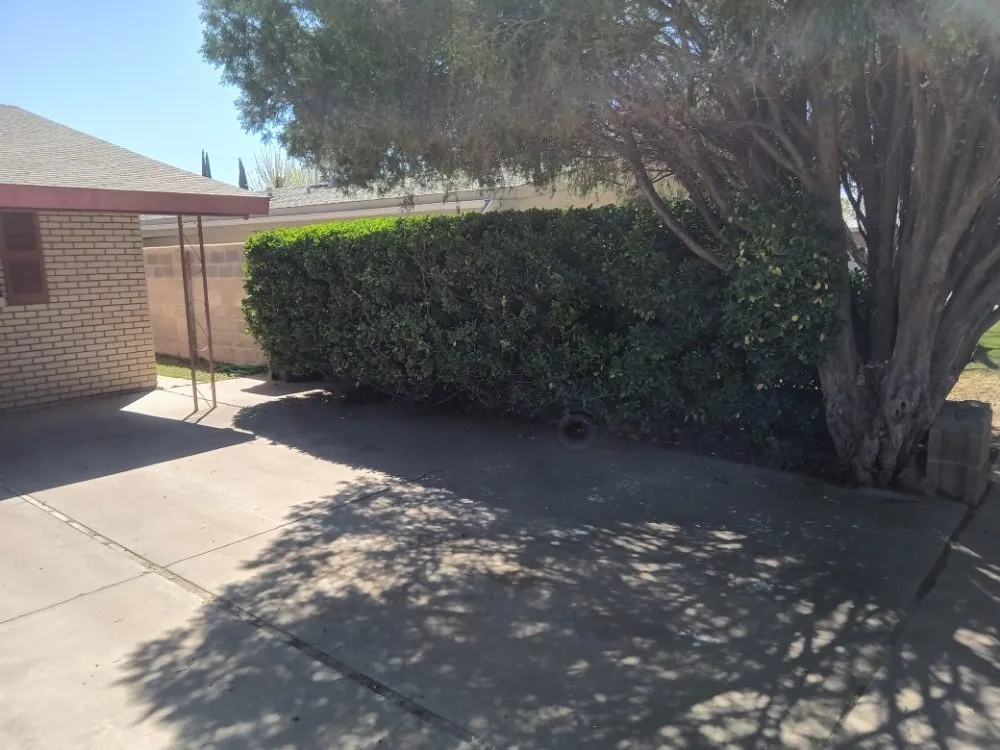 Professional residential landscaping in Deming, NM - Glory Glory lawn care
