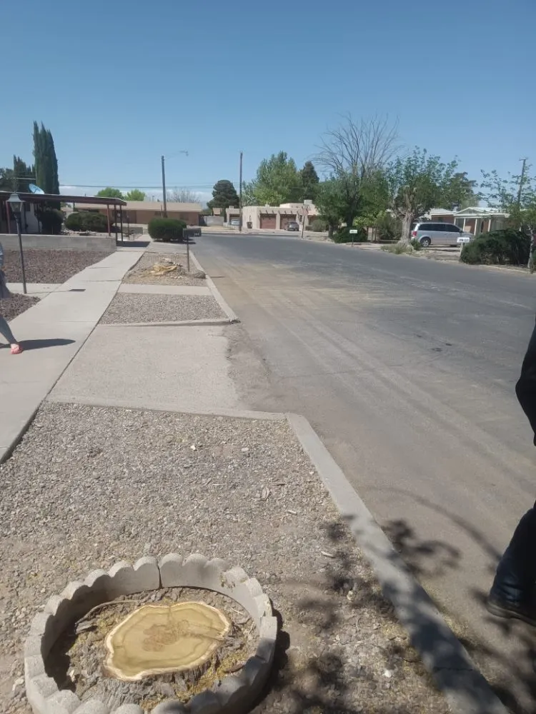 Local landscape installation in Deming, NM by Glory Glory lawn care