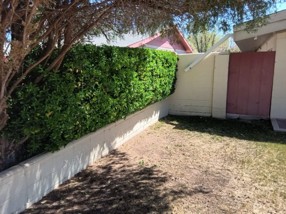 Top-rated yard cleanup service with custom design across Deming, NM - Glory Glory lawn care