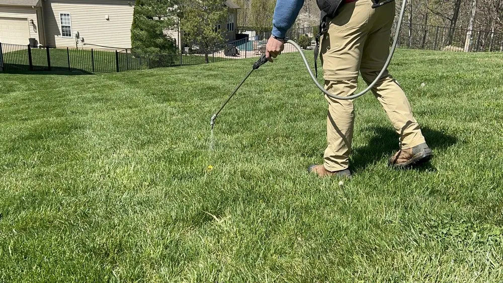 Reliable landscape design in Ofallon, MO - Glory One