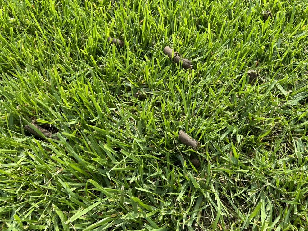 Top-rated landscape design for outdoor upgrades in Ofallon, MO by Glory One