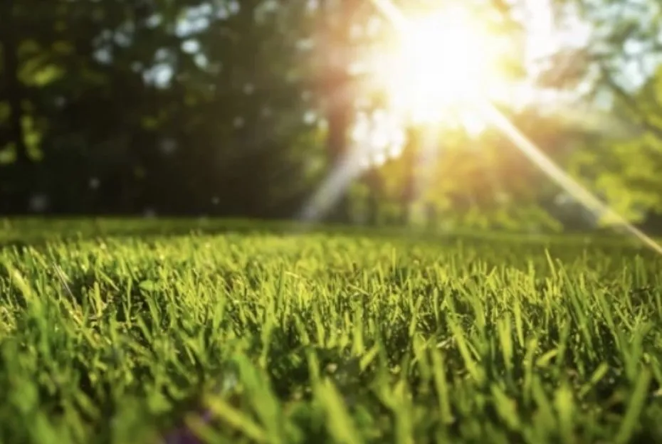 Trusted lawn care service in Summerdale, AL - Gloryland Lawn Care