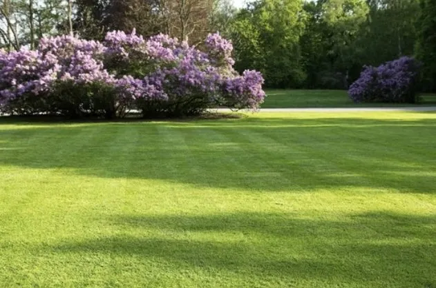 Top-rated yard maintenance for outdoor upgrades in Summerdale, AL by Gloryland Lawn Care