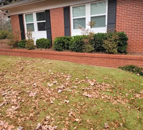 Local yard cleanup service for outdoor upgrades in Griffin, GA by GloverCuts